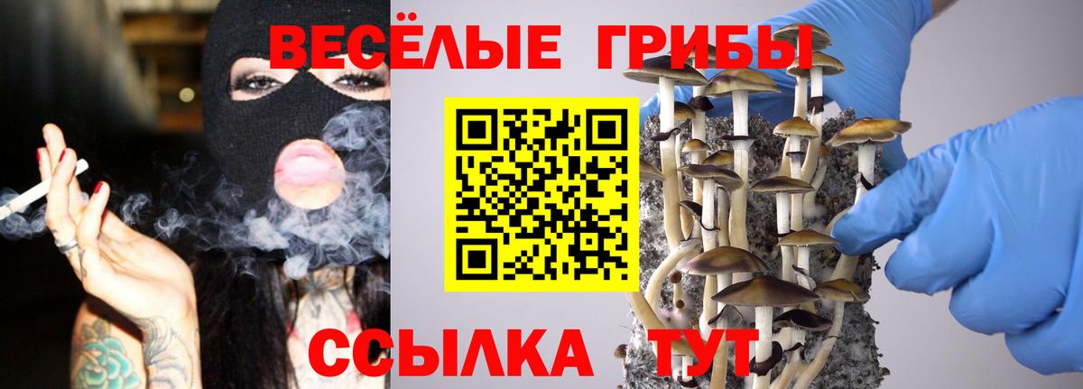 Галлюциногенные грибы прущие грибы Новошахтинск